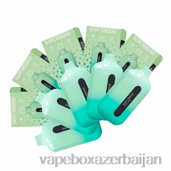 Vape Azerbaijan [10-Pack] SOFI X9000 Smart Disposable